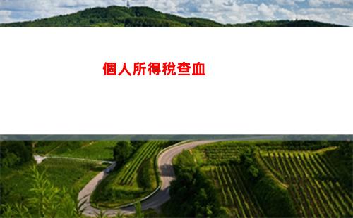 快來查看！個人所得稅申報額查詢，輕松了解你的納稅情況！（55個字符）