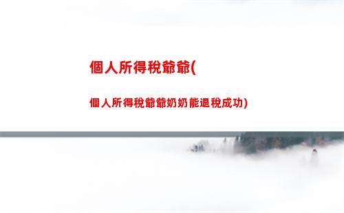 海南經營所得個人所得稅(個人所得稅經營所得減半征收政策)