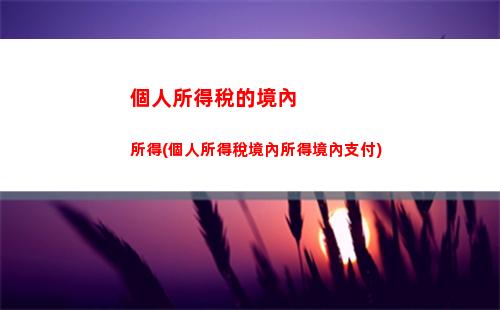個人所得稅打折(個人所得稅如何申請免稅)