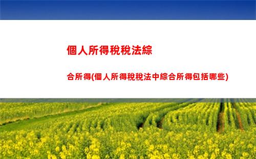 個人所得稅形勢(完善個人所得稅制度)