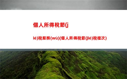 個人所得稅紅字(個人所得稅紅字是什么意思)