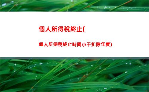 個人所得稅綜合所得稅師(綜合所得稅和個人所得稅區別)