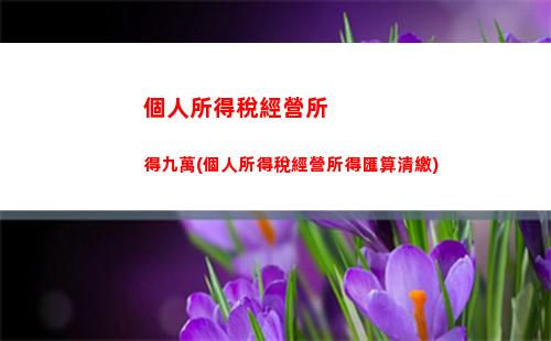 個人所得稅匯算申報退稅(個人所得稅退稅申報流程)
