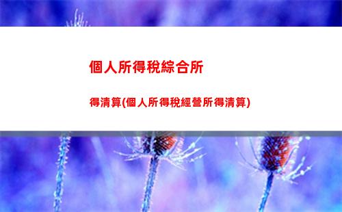個人所得稅綜合所得雷區(我國個人所得稅綜合所得的稅率是)