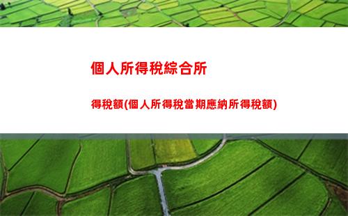 輕松計算個人所得稅，了解稅收減免政策，不再被稅務困擾