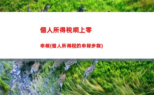 個人所得稅同比(個人所得稅同比增長率怎么算)