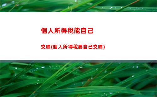 個人所得稅口號