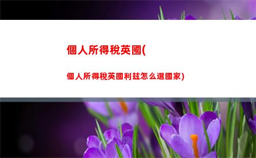股息所得的個人所得稅(股息所得個人所得稅年末退稅嗎)