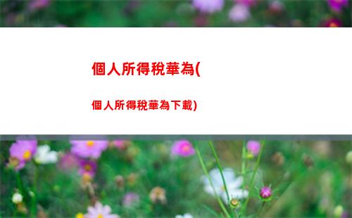 輕松掌握個稅計算！每月提前了解，讓你理財更從容！