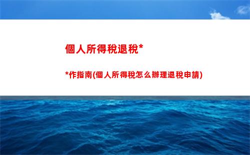 個人所得稅數(shù)量(個人所得稅如何申請免稅)