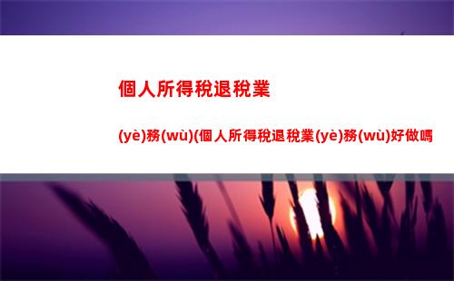 個人所得稅扣繳系統(tǒng)(個人所得稅扣繳系統(tǒng)怎么切換單位)
