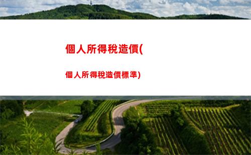 個人所得稅智能(個人所得稅智能認證怎么操作)