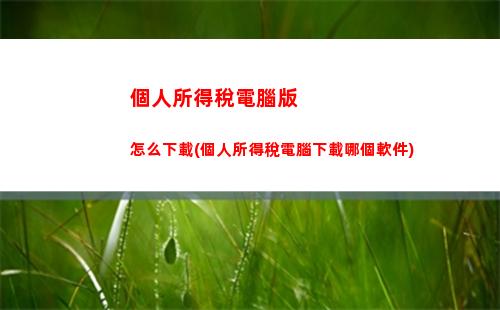 個人所得稅酬稿酬所得(稿酬所得個人所得稅稅率表)