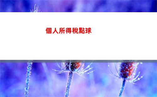 免費試算！個人所得稅一鍵計算器，告別煩惱！
