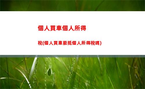 個人上報個人所得稅(上報個人所得稅的流程)
