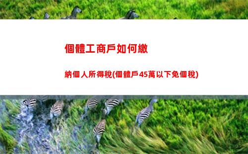 個人所得稅救助(個人所得稅虛報大病救助)