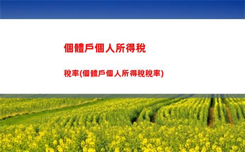 個人所得稅意思(個人所得稅意思異議按件顯示已反饋怎么撤銷)