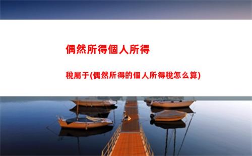 個人所得稅白領