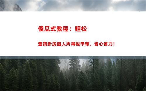 一鍵查詢個稅退稅記錄，輕松管控財務流水！