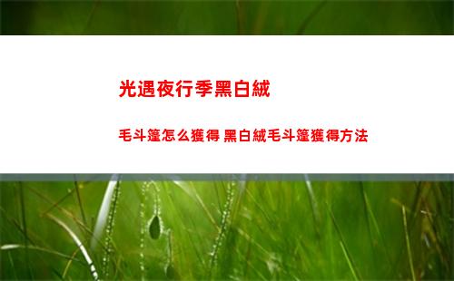 瘋狂梗傳動物和人過關攻略