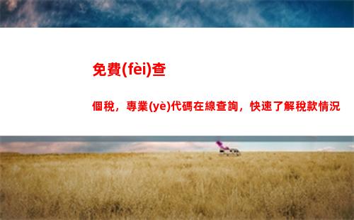 看股市賺錢不用擔(dān)心稅！個人所得稅查詢教程來了！