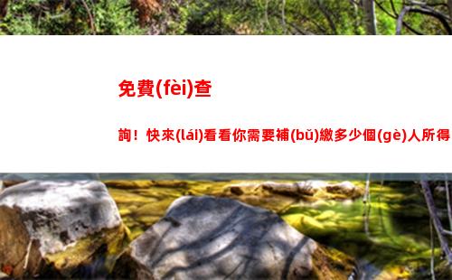 快速便捷！隨時(shí)隨地查詢個(gè)稅，掌握自己稅收情況