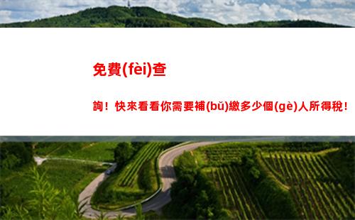 快速便捷！隨時(shí)隨地查詢個(gè)稅，掌握自己稅收情況