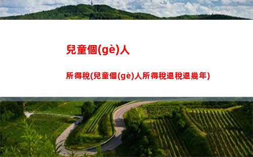 免繳個(gè)人所得稅(免繳個(gè)人所得稅的有哪些項(xiàng)目)