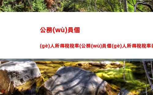 結(jié)轉(zhuǎn)個(gè)人所得稅分錄(結(jié)轉(zhuǎn)個(gè)人所得稅會(huì)計(jì)分錄)