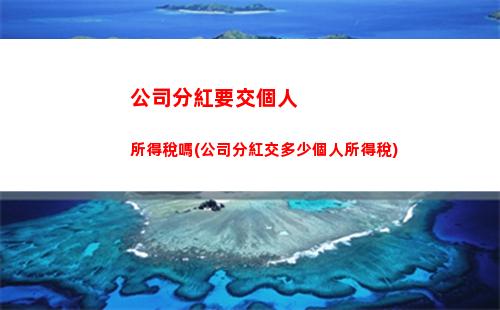 萬工資交多少個人所得稅(1萬工資交多少個人所得稅)"