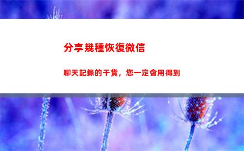 分享幾種恢復微信聊天記錄的干貨，您一定會用得到