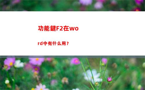 功能鍵F2在word中有什么用？(功能鍵f2能夠實現什么操作)