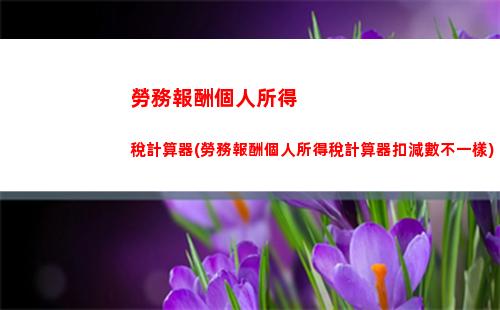 讓你的錢包更豐盈！個人所得稅計算公式全解析