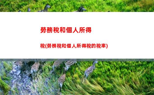 多處所得個人所得稅(利息所得個人所得稅)