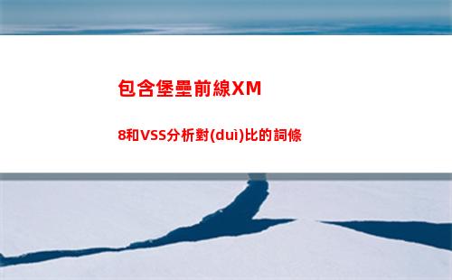 包含堡壘前線XM8和VSS分析對(duì)比的詞條