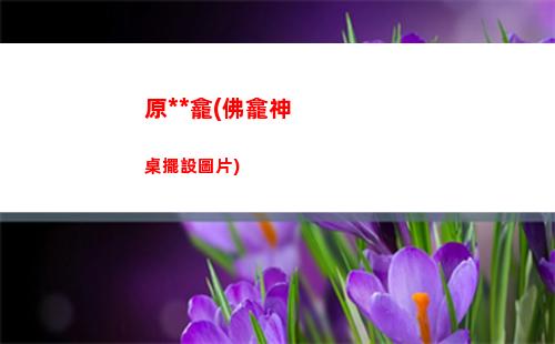 電腦不下載原神怎么進原神