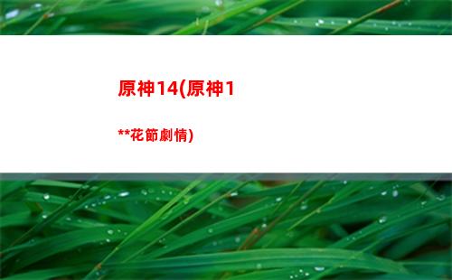 原神哈士奇(原神哈士奇周本)