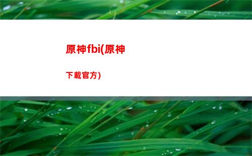 原神Fo(原神佛跳墻)
