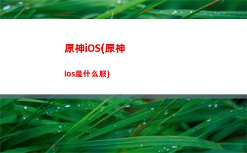 原神xp黨(原神xp黨是啥)