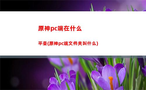原神的戒指賣給誰(原神戒指賣給誰收益大)