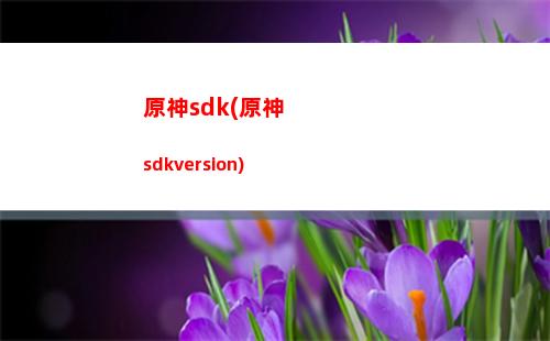 原神cyjy(原神cy是什么意思)