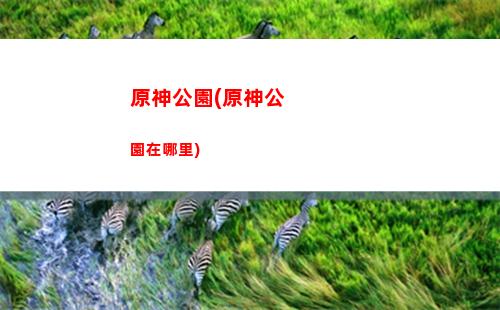 原神搞原石(原神一個月可以搞多少原石)