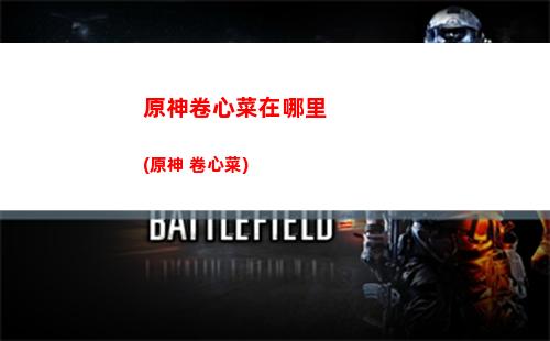 原神進(jìn)城(原神進(jìn)城后干什么)