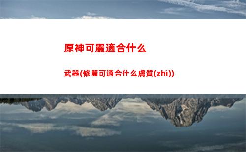 原神開(kāi)發(fā)(原神開(kāi)發(fā)公司)