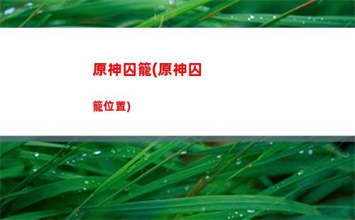 原神清心花分布圖(原神烈焰花分布圖)
