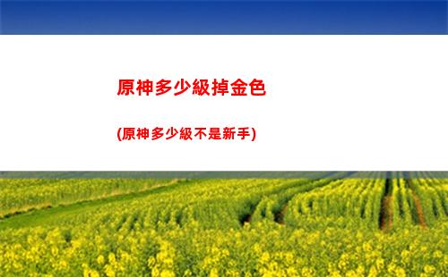 原神第一孝