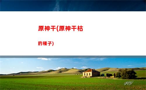 原神弓原培(原神神射手之弓)