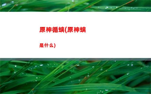 原神一把劍(原神把劍放在胸里的是誰)
