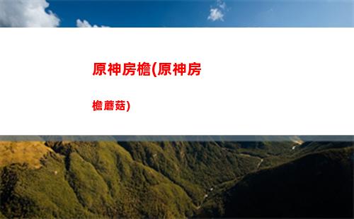 原神斧頭(原神斧頭武器)