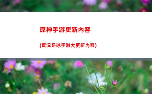 原神送四星(原神送四星角色)